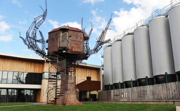 Dogfish Head Brewery : Brewery Profile