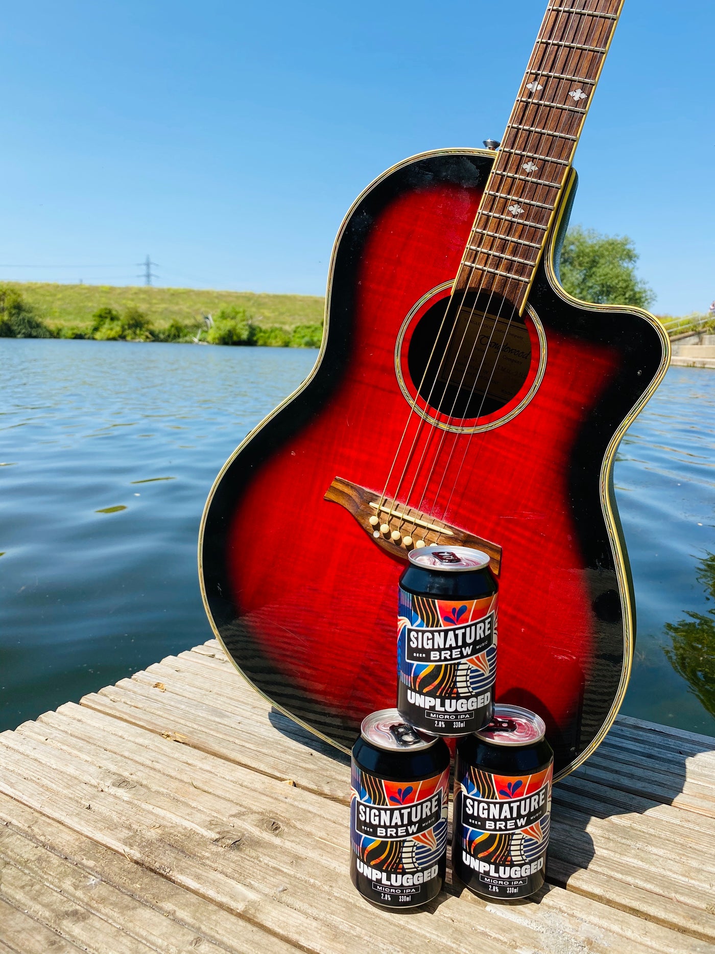 Unplugged - Micro IPA