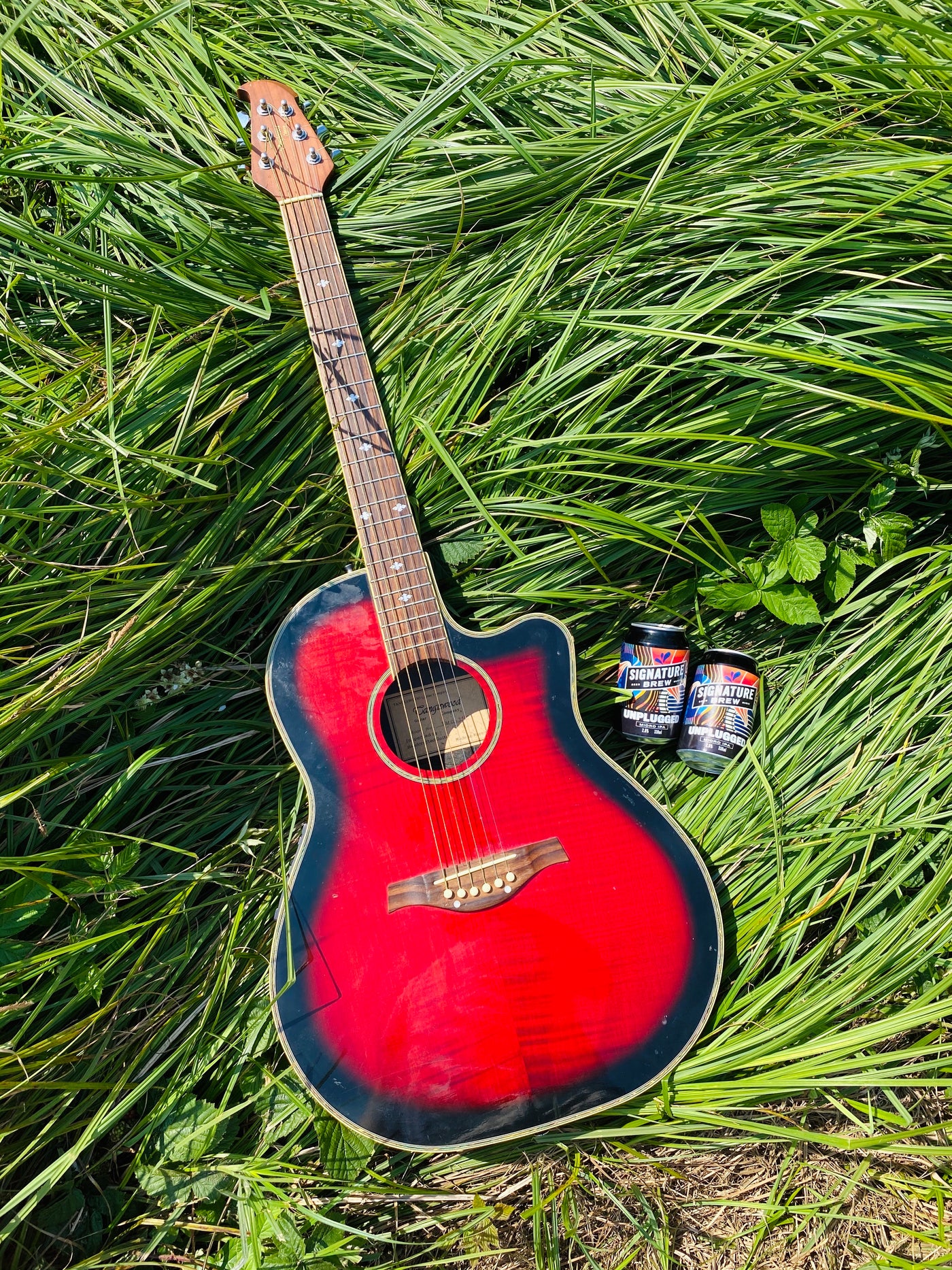 Unplugged - Micro IPA