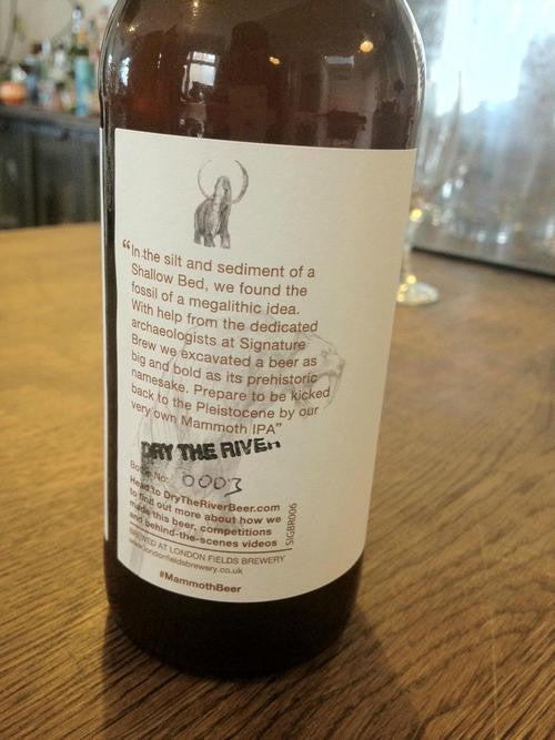 Dry The River - Mammoth